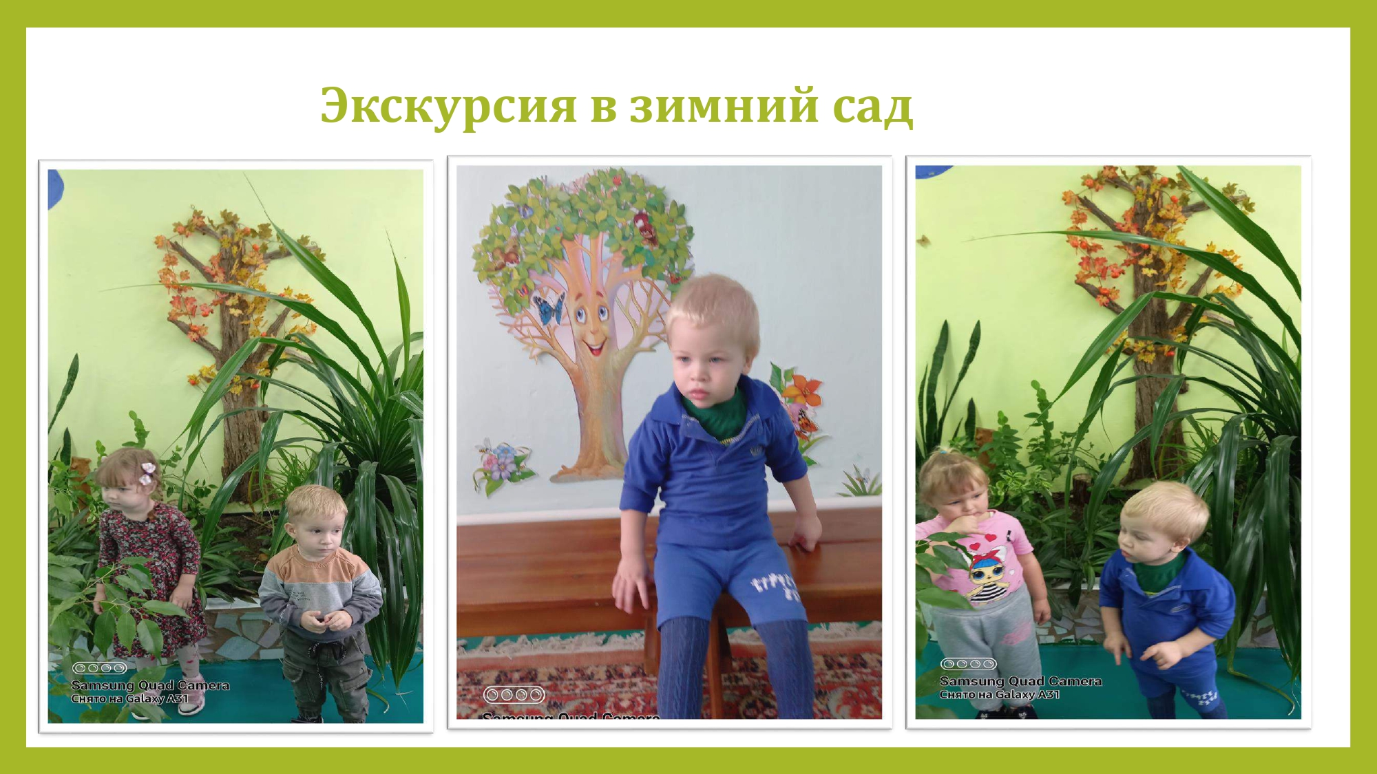 derevya_page-0014